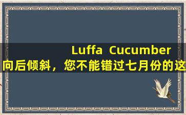 Luffa  Cucumber向后倾斜，您不能错过七月份的这4个瓜！从肉到种子，增强脾脏和透明的热量，是宝藏